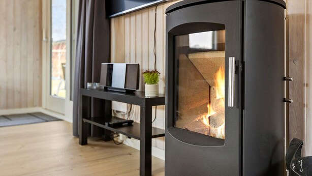 A modern living room with a black wood-burning stove, a flat-screen TV, and a small table with a plant.