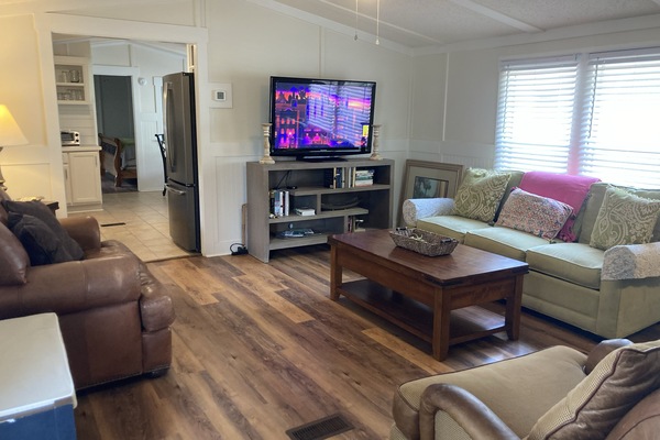 Living Room Queen Pullout Sofa