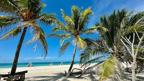 A beach with palm trees, a wooden bench, and a clear blue sky. - Casa Punta Coco & Beach Club (Isla Holbox)