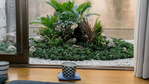 A view of a small indoor garden with various plants and rocks, a window, and a checkered mug on a coaster. - Kyomachiya IZO (Kyoto)