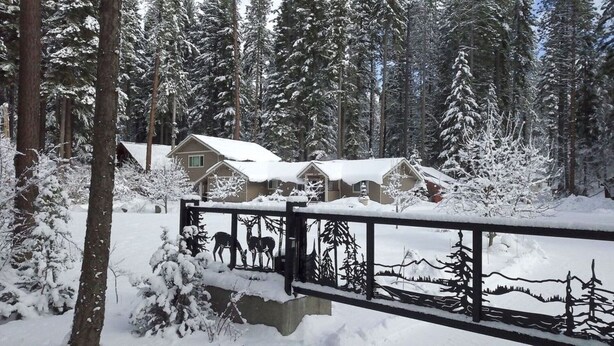 A cabin surrounded by snow-covered trees, with a metal railing in the foreground.