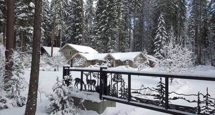 Northwest Pines Lodge near Lake Cle Elum! Great for large family gatherings.