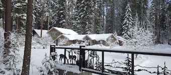 Northwest Pines Lodge near Cle Elum Lake! Great for large family gatherings.