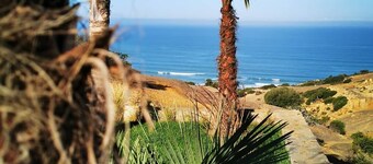 Excellent and modern room in Boutiquehotel with ocean and swimmingpool view.