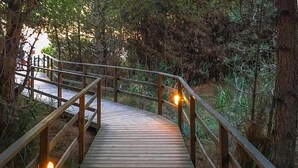 A wooden boardwalk with metal railings, surrounded by trees and vegetation. - Stunning apartment in Puntone with WiFi (Puntone)