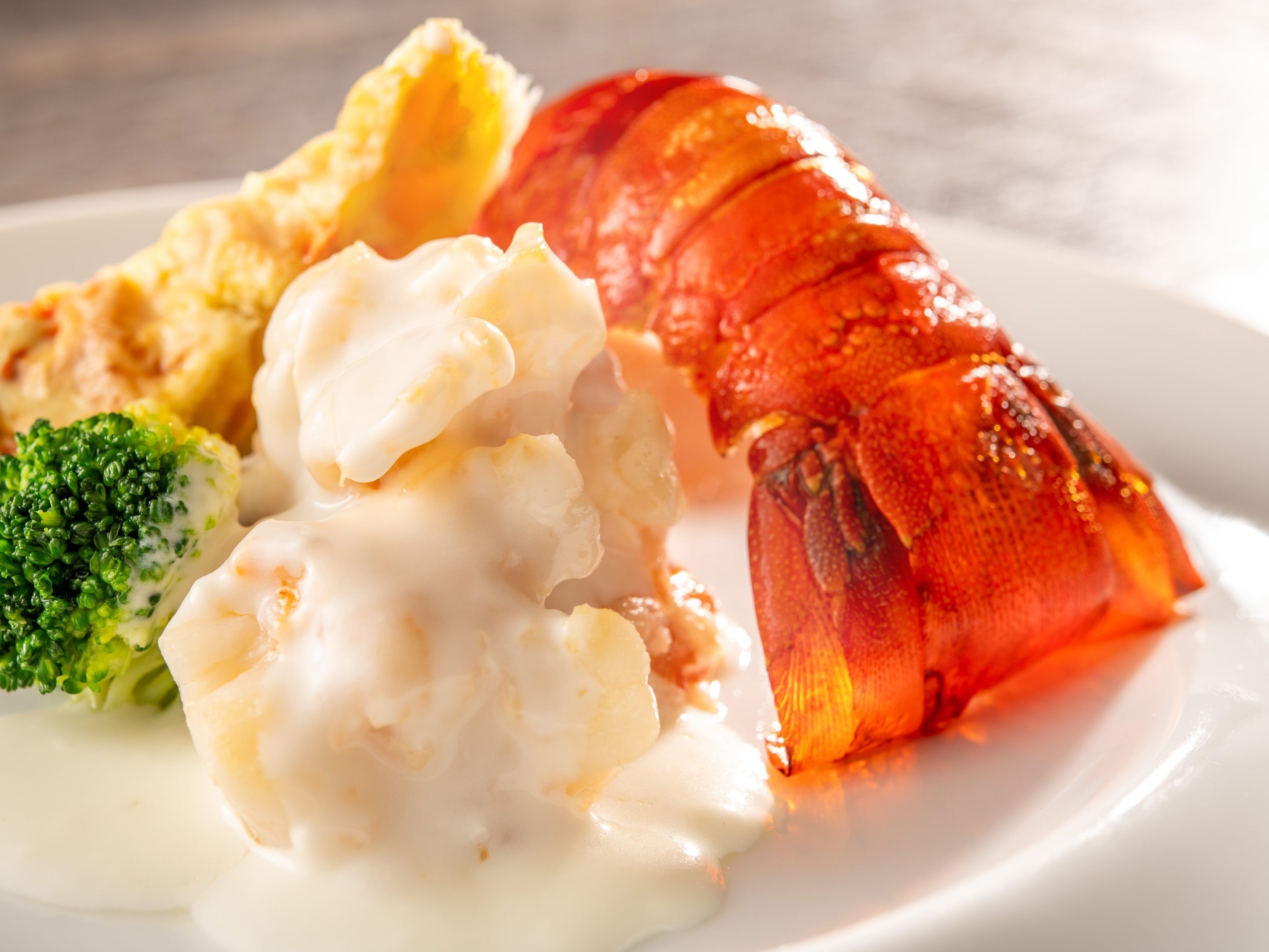 A lobster tail with a creamy sauce, a piece of broccoli, and a side of mashed potatoes on a white plate.