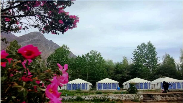 Um camping com iurtes e montanhas ao fundo.