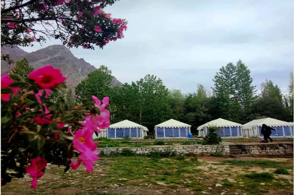 TIH Julley World Camp