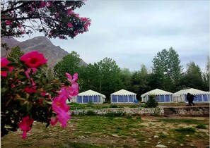 Garden - TIH Julley World Camp (Leh)