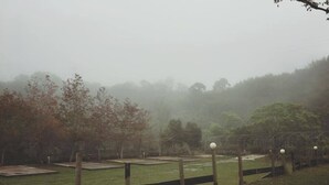 Un espace extérieur brumeux, avec une clôture en bois, des zones herbeuses et des arbres.