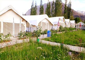 Standard Tent | Garden - TIH Hidden Valley Camp - Hunder (Leh)
