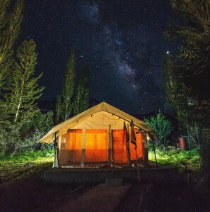 Una estructura tipo tienda con techo inclinado, rodeada de árboles, bajo un cielo estrellado.