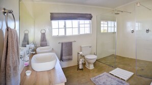 A bathroom with a wooden vanity, a large white sink, a toilet, a glass-enclosed shower, and a window with a view. - Addo Park Vista Cottages (Colchester)