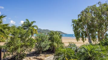 Une plage bordée de palmiers, avec vue sur la mer.