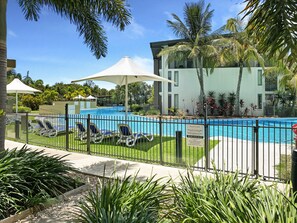 Une piscine entourée de chaises longues, de palmiers et d’une clôture.