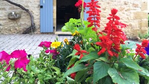 Ein Steinhaus mit einem Hauseingang und blauen Fensterläden, umgeben von einer Vielfalt bunter Blumen.