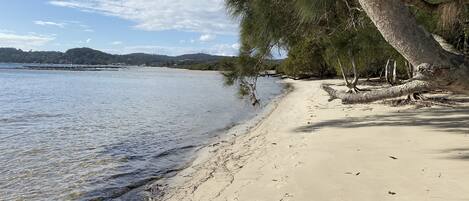 Una playa cerca