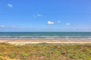 A beach with a clear sky, waves, and a grassy foreground. - Seagull #409LK: Beachfront 1 Bedroom 1 Bathroom With Spectacular Views and 24 Hour Management (Port Aransas)