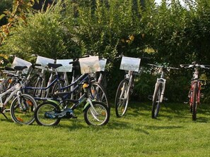 Uklassifisert bilde, 4 av 15, knapp