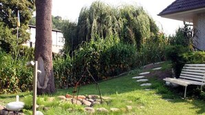 A garden with a bench, a tree, and a stone pathway.