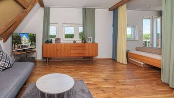 Smart TV, fireplace, DVD player, books