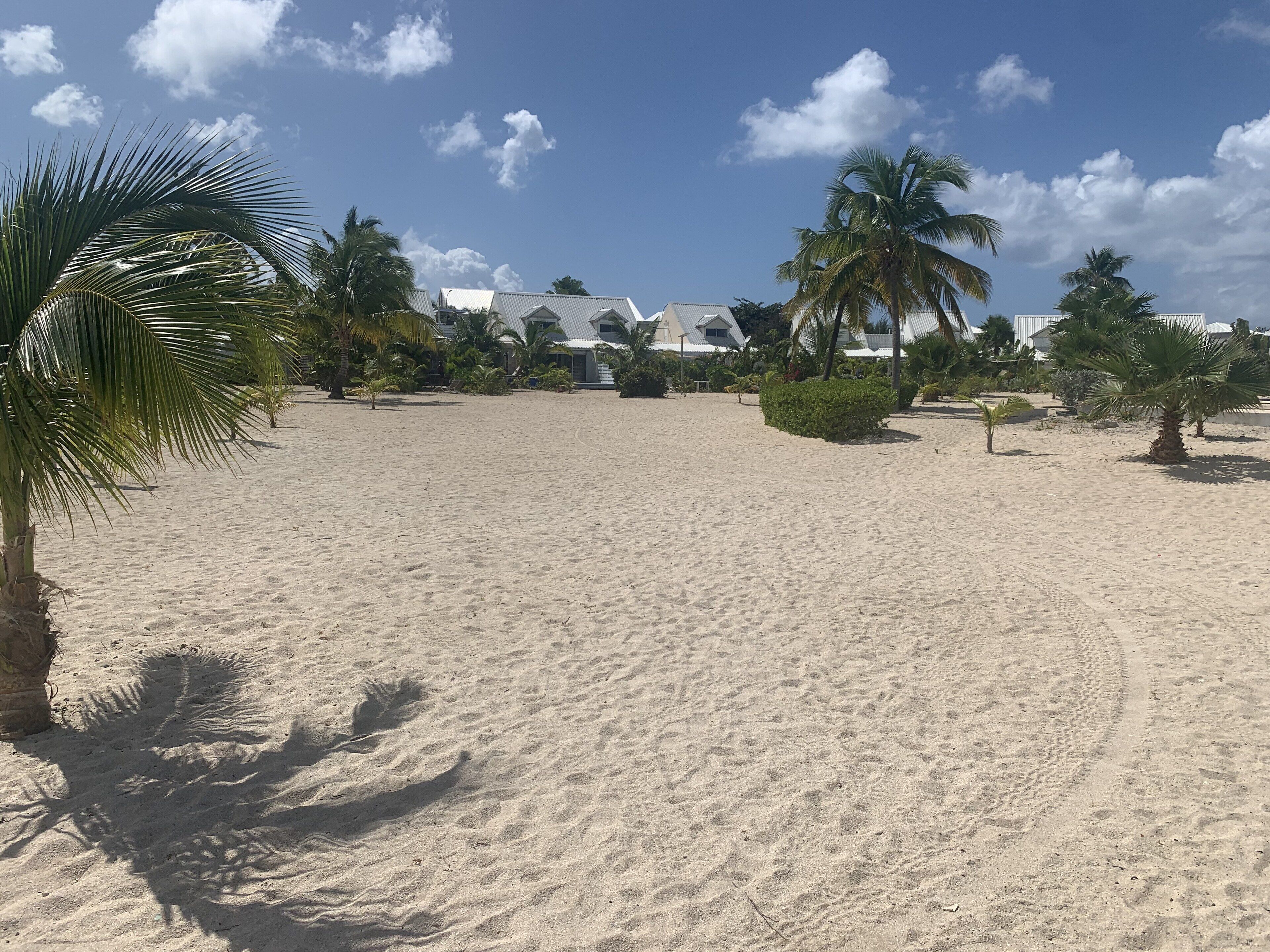Una playa arenosa con palmeras y un edificio al fondo.