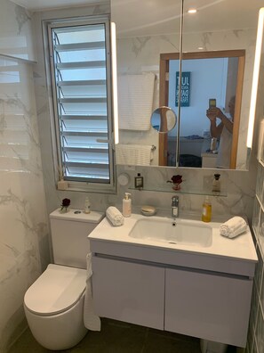 Shower, hair dryer, towels, soap