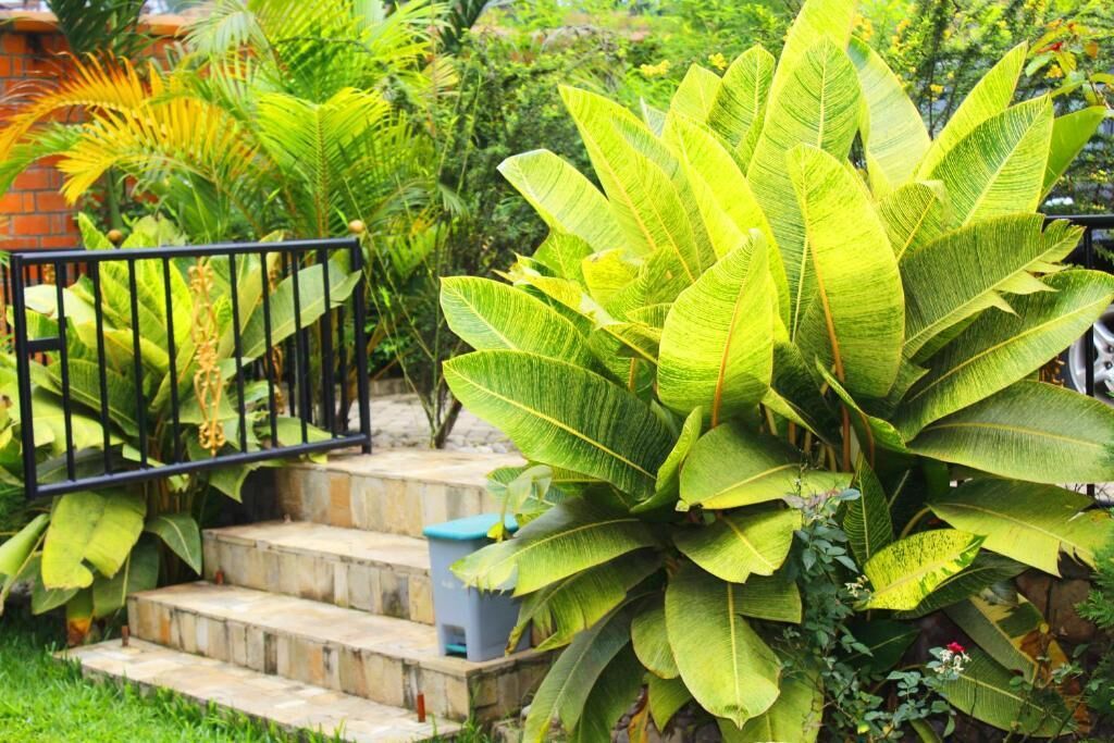 Àrea exterior de l'allotjament