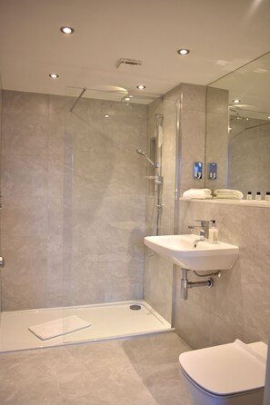 Business Tek Büyük Yataklı Oda | Banyo duşu