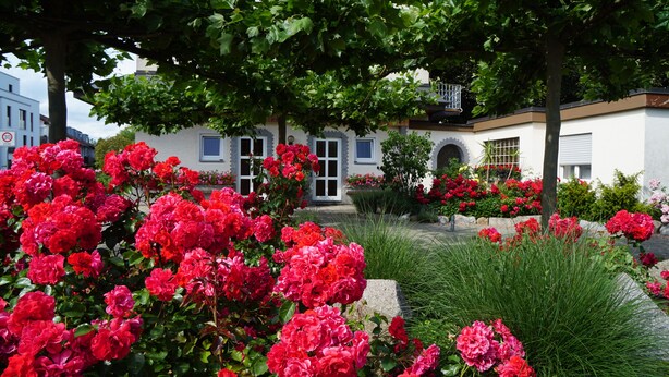 A white building with a garden full of red flowers and green grass. - Hotel Anika (Neuenburg am Rhein)