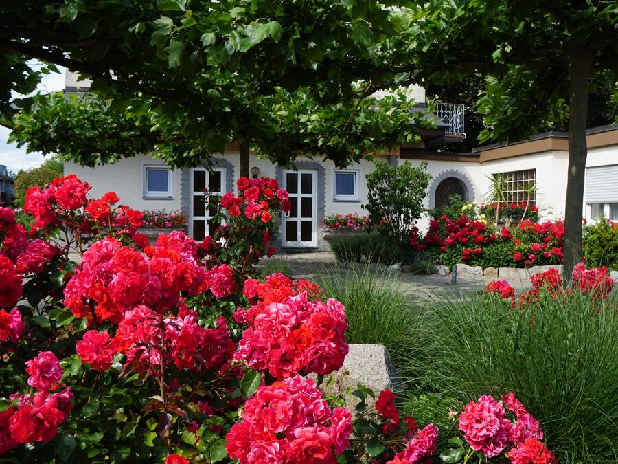Zonneterras