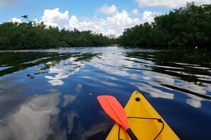 Photo non classée, 4 sur 50, bouton