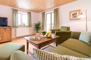 Fernseher