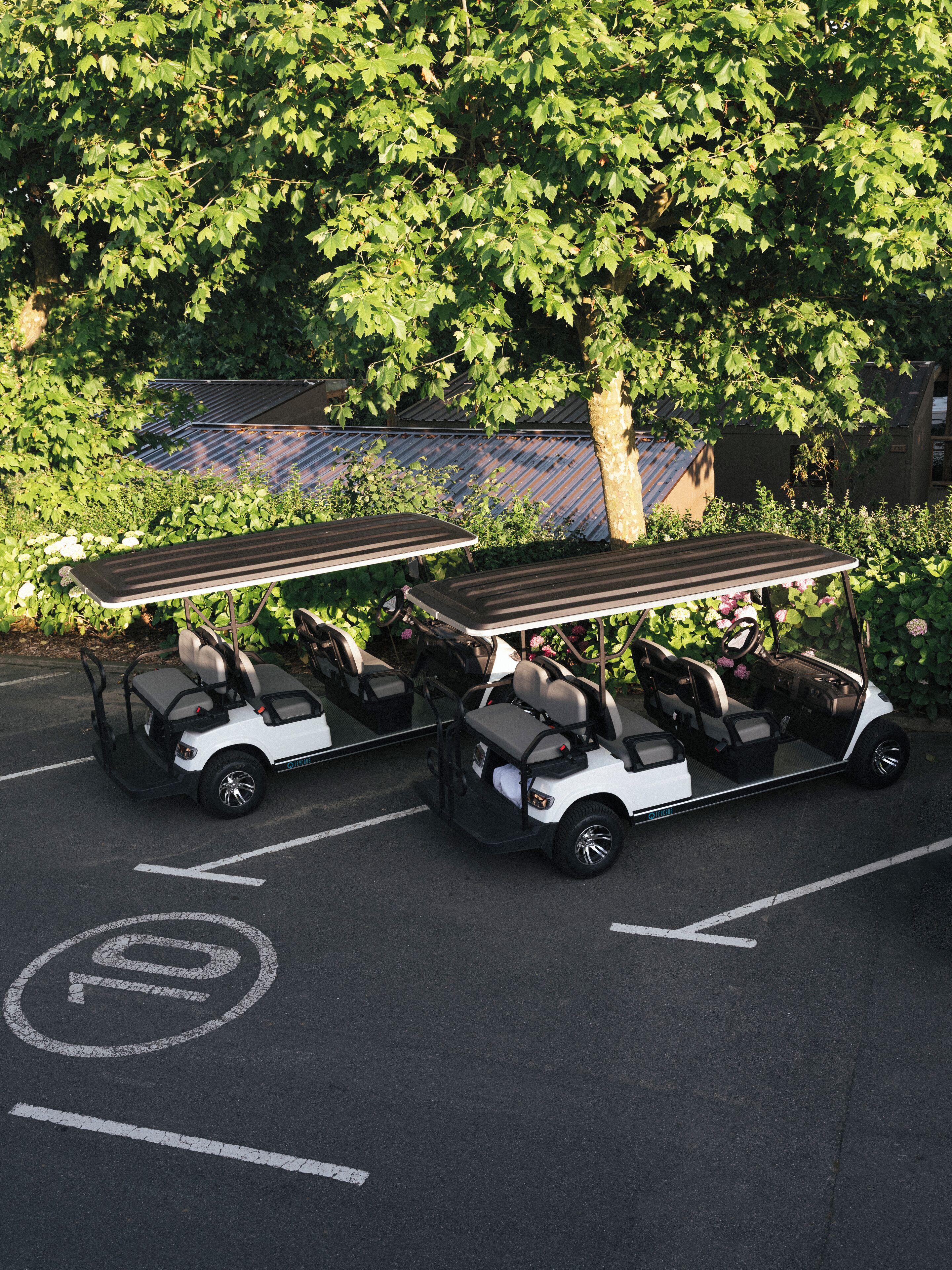 Two golf carts parked in a parking lot with a tree and a building in the background.