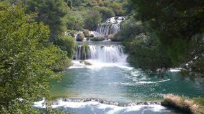 Image sans description, 4 de 15, bouton