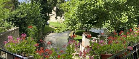 Terrein van de accommodatie