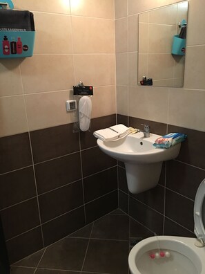 Shower, towels, toilet paper