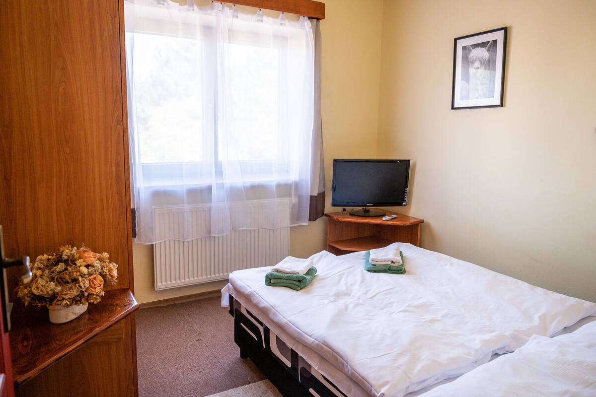 Economy-Doppelzimmer | Verdunkelungsvorhänge, kostenloses WLAN, Bettwäsche