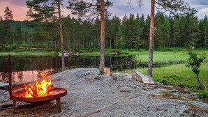 A campfire in a forested area with a pond and trees.