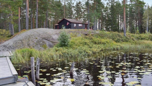 A cabin with a flag, surrounded by a forest and a pond with lily pads.