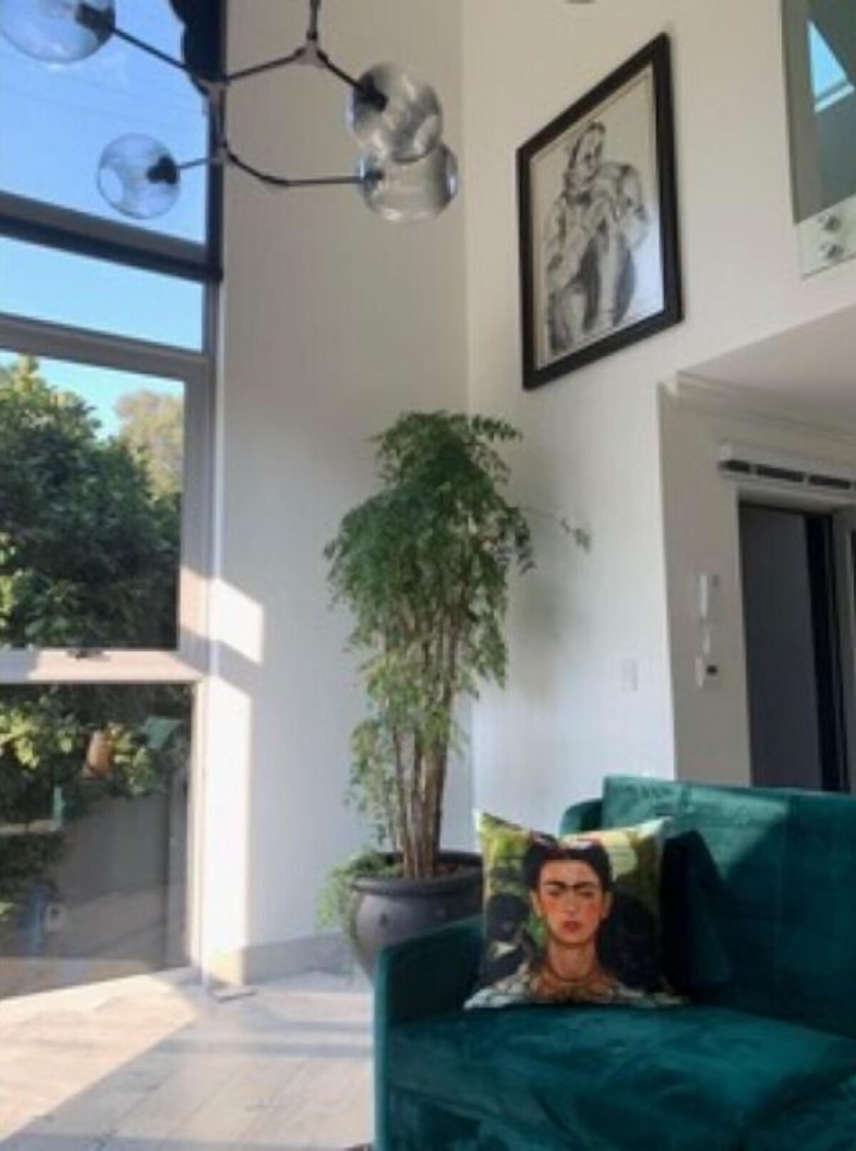 Foto de perfil del anfitrión