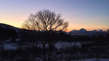 Deluxe Cabin | Balcony view