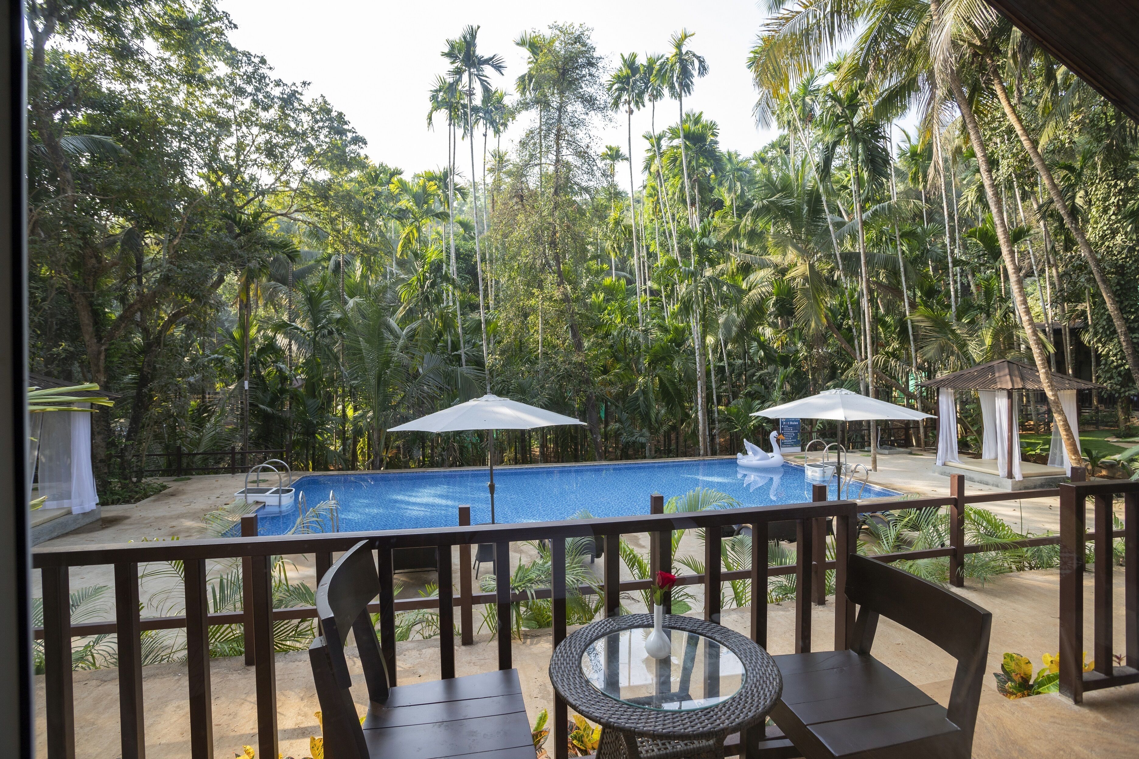 A poolside area with a view of a blue pool, surrounded by palm trees and a wooden deck.