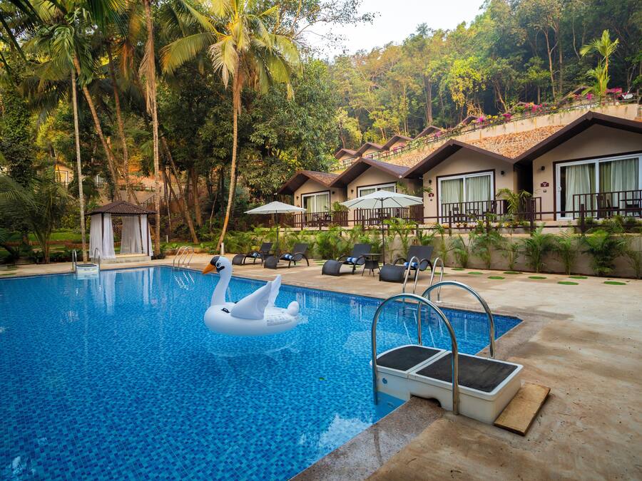 Outdoor pool, sun loungers