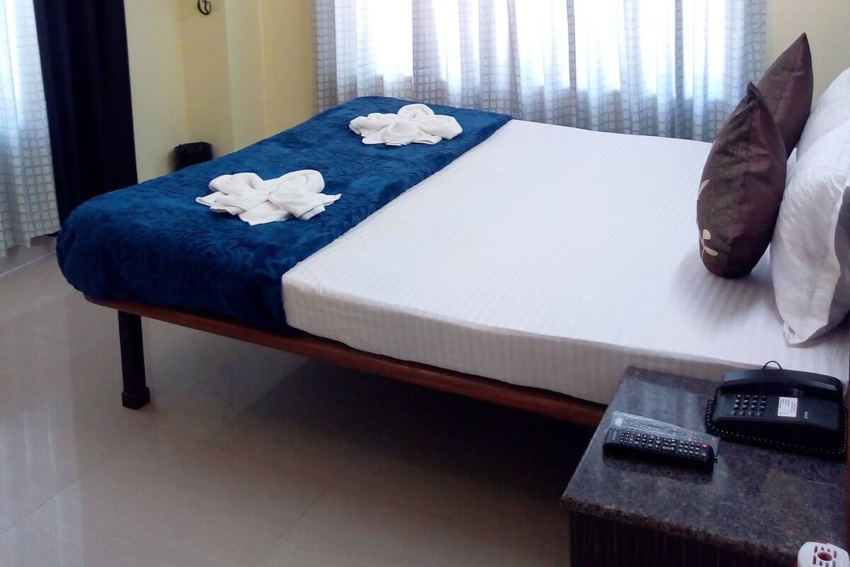 Habitación Deluxe doble | Wifi gratis
