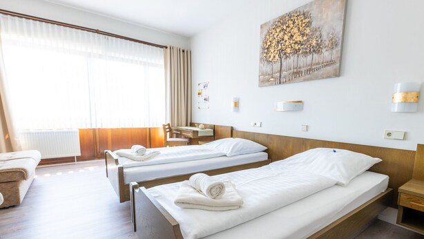 Comfort Twin Room - Hotel Zum Goldenen Fässchen (Daun)