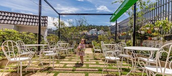 Homestay Dinh Bảo Đại, view đẹp, rừng thông rừng hồng