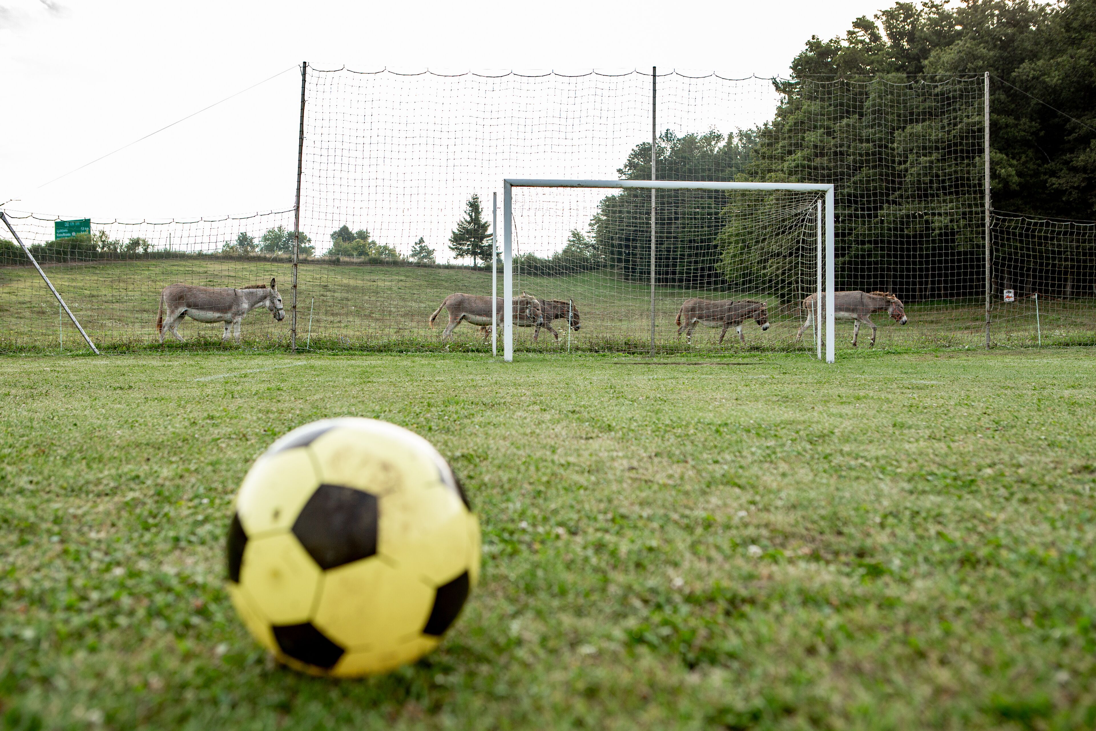 A soccer field with a goalpost and a soccer ball in the foreground.