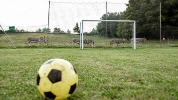 A soccer field with a goalpost and a soccer ball in the foreground.