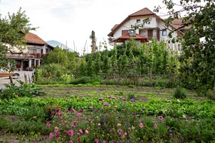 Jardín